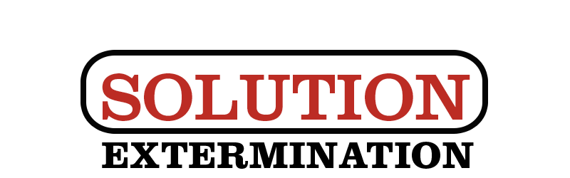 Solution Extermination